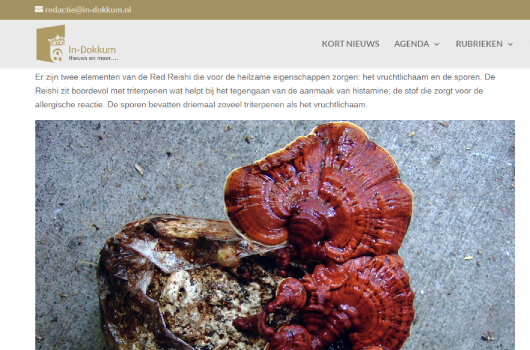 In dokkum over paddenstoelen uit tradiotionele chinese geneeskunde Mushrooms4Life